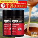 \期間限定半額/マヌカハニー はちみつ コンビタ UMF 18+ 250g 2個 マヌカ モノフローラル 生はちみつ 無添加 非加熱 ギフト プレゼント 蜂蜜 クリームタイプ ニュージーランド 直販 直輸入 送料無料 マヌカ蜂蜜 贈答品 返礼品 お礼 健康管理 健康食品 お試し 賞味期限