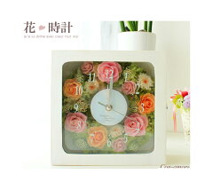 https://thumbnail.image.rakuten.co.jp/@0_mall/con-amore/cabinet/02522951/imgrc0080172730.jpg