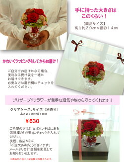 【送料無料】【即日配達】プリザーブドフラワー≪リュビ≫クリスマス/誕生日/