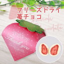 プチギフト かわいい 子供 まるごといちごピュアショコラ1個 ※お届け期間10月から4月 退職 チョコ お菓子 まるごと苺 結婚式 まるごと苺 かわいい チョコ...