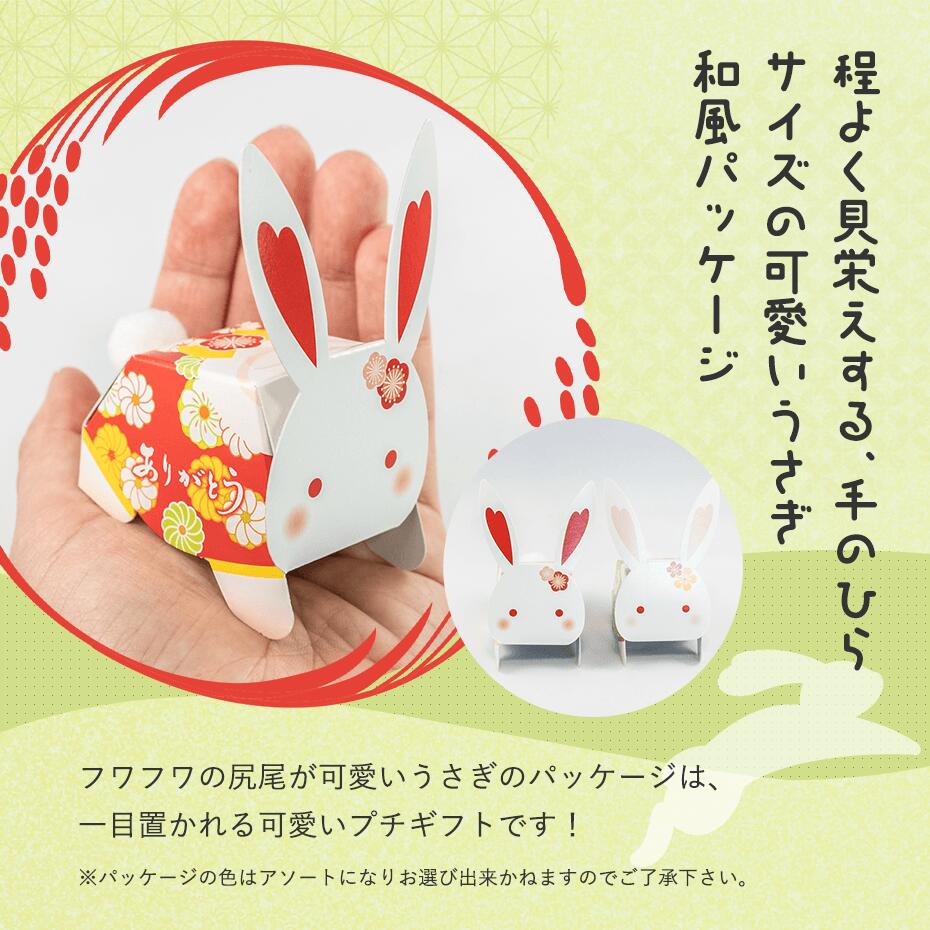 プチギフト 結婚式 退職 産休 うさあめDEピョン（てまり飴）※賞味期限2026年12月25日 【正午までのご注文完了で当日出荷可※当店休業日除く】 和 和風 ありがとう プチギフト 子供 おかし お菓子 あめ 卒業 卒園 記念品 ギフト ありがとうギフト うさぎ 個包装 concirge-10006963 ぷちぎふと工房 コンサルジュ サンプル画像3