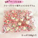 フリーズドライ苺チョコ300グラム※賞味期限2025年9月25日 【正...(4)