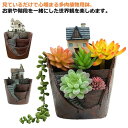 多肉植物 寄せ植え 城 鉢 寄せ植 植本鉢 母の日 ギフト プレゼント 民家 お城 DIY ハウス 植木鉢 おしゃれ プラスチック 底穴付き ハオルチ