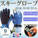 スキーグローブ タッチパネル対応 防風 防寒 手袋 スマホ手袋 登山 アウトドア 自転車 冬