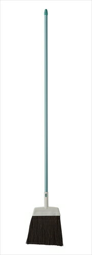 2989.JP+ニワボウキ(アレン)L