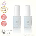 Smart Nail公式 2個セット 水性ネイル 