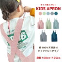 子供エプロン コットン100% キッズエプロン 無地 子供用 男女兼用 シンプルデザイン 小学生 かわいい 送料無料 プレゼント