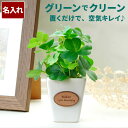 開店祝い ネイル サロン 名入れ プレゼント 送料無料 【 CT触媒 観葉植物 ハッピークローバースクエア 】 周年祝い カフェ 美容室 周年記念品 開業 贈り物 植物 フェイクグリーン かわいい インテリア クローバー 四葉 名入り ギフト 誕生日 記念日 新築 引っ越し 祝い