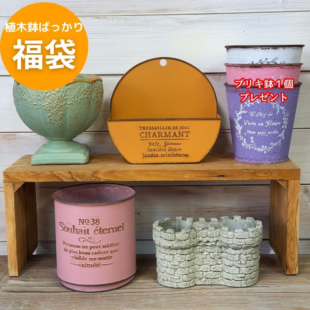 ガーデニング雑貨第4弾福袋多肉植物...