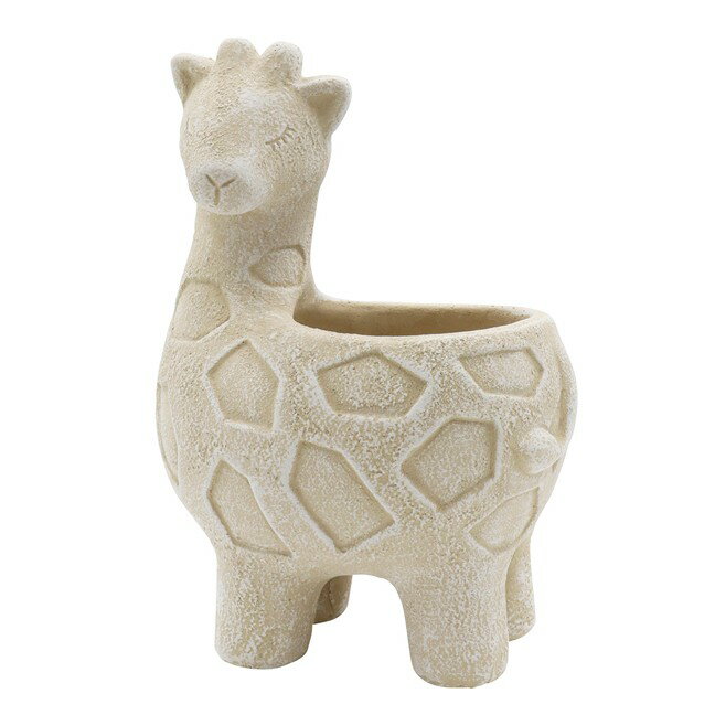 サハラアニマルキリン植木鉢多肉植物...