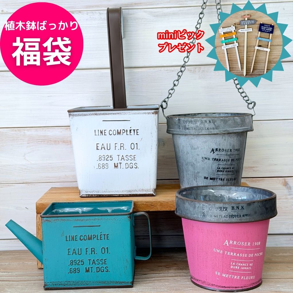 【限定6セット】 ガーデニング 雑貨