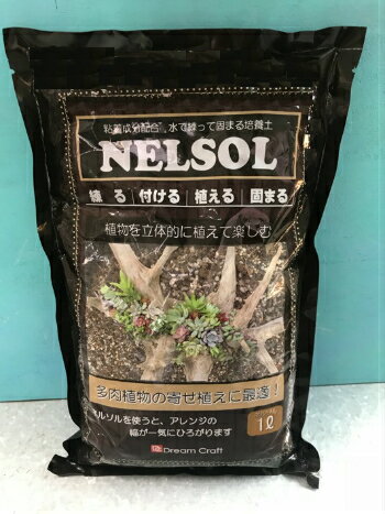 水で練って固まる培養土 NELSOL 多肉植物の楽しみをぐっと広げてくれる新しい培養土です。 容器にしっかりと貼りついて、絵画のようなアレンジや、立体的なアレンジが完成！ coniwa店主が使ってみた感想… ・多肉植物の挿し穂で、簡単に寄せ植えが作れて楽しい。 ・しっかり貼りついてる。 ・思っているより長い間綺麗な状態で生育してくれる。 （季節によりますが、数か月そのままで大丈夫でした。） ・育てているとき、運ぶときに土こぼれがないのは、育てている人はもちろん、多肉にもストレスが少なそう。 ・多肉の姿が乱れてきたら、たっぷりの水でネルソルを柔らかくして、寄せ植えを解体できる。 NELSOLの5L入りもあります（取り寄せ）。 お問合せください。