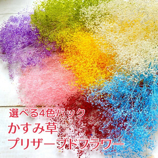 【76-1760-102】 プリザーブドフラワー ソフトストーベ　50g ウォッシュピンク 1束送料無料　花資材 松村工芸 FKTS