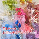 ドライフラワー 花材 セット 花束 インテリア ブーケ スワッグ リース レジン 小さめ ハーバリウム 花材セット プリザーブドフラワーキャンドル フラワーアレ...