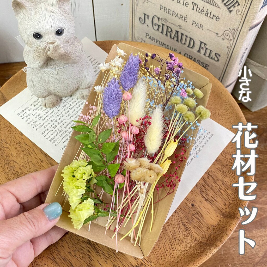 ドライフラワー 花材 かすみ草 花材セット ハーバリウム 小さめ レジン リース 小分け花材 セット プリザーブドフラワー ハーバリウム リングピロー 送料無料