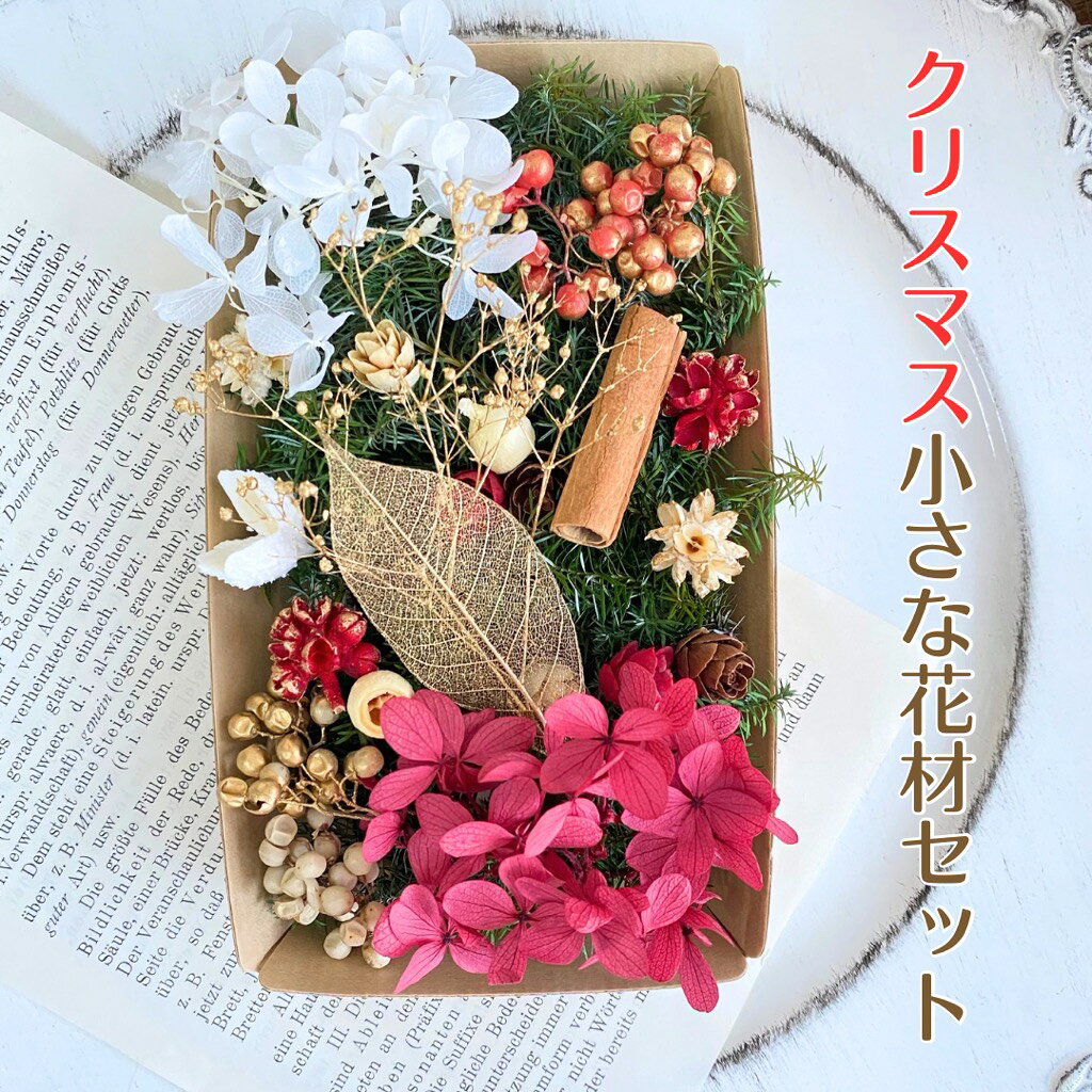 楽天市場】ドライフラワー セット（プリザーブドフラワー｜花・観葉