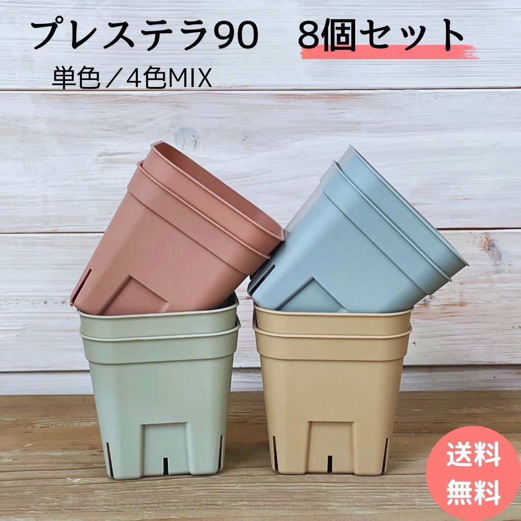 楽天市場】プレステラ 90(ガーデニング・農業|花・ガーデン 楽天市場】プレステラ 90(ガーデニング・農業|花・ガーデン