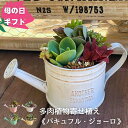 母の日 まだ間に合う ギフト 多肉植物 寄せ植え Φ8.5cm 鉢 セット 観葉植物 パキュフルジョーロ 小さい 多肉植物寄せ植え 冬 多肉の寄せ植え 花 プレ...