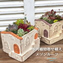 【予約販売 10月以降発送】 多肉植物 寄せ植え 鉢 セット 観葉植物 メゾンルーフ 母の日 父の日 ギフト 多肉植物寄せ植え 春 多肉の寄せ植え 花 プレゼント 誕生日 退職祝 送別 おすすめ 送料無料