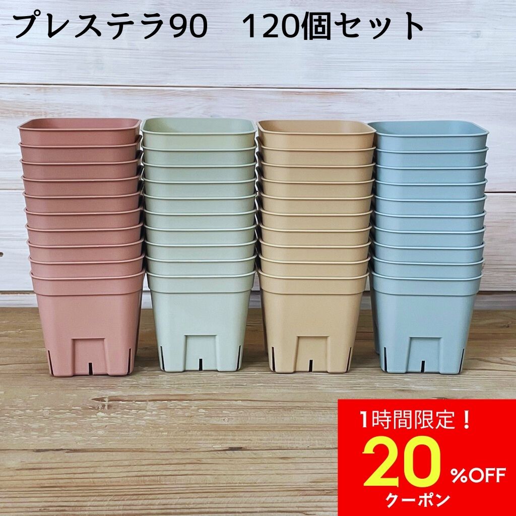 【9/4 20時～1時間限定20％OFFクーポン】 スリット鉢 プレステラ 120個セット 多肉植物 鉢 プレステラプレミアム 90 3号ポット プラスチック プラ鉢 ピンク グリーン ブルー ブラウン エケベリア 水草 育苗ポットのサムネイル