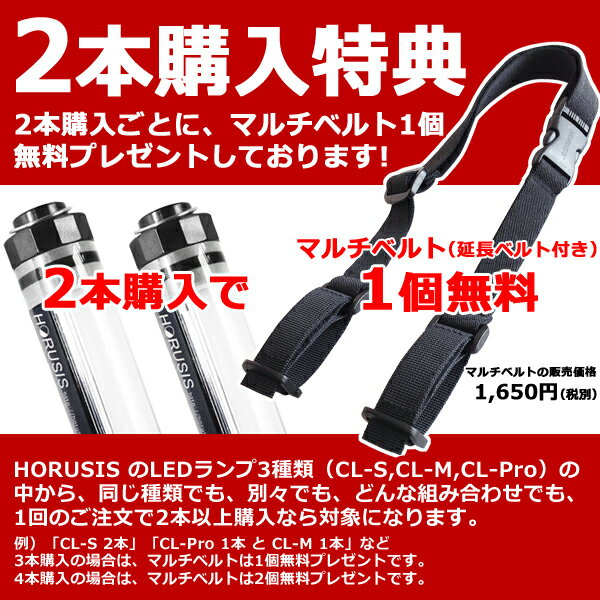 HORUSIS CL-S 5500K / 3000K 充電式 防水 LED ライト ホルシス チャージランプ CHARGE LAMP 白色光 暖色光 明るさ最大100LM 明るさ2段階 赤色灯モード(点灯 点滅 SOS点滅)防塵防水性能IP68 LED ランプ ランタン 作業灯 災害用 非常用ライト通販格安セール情報 楽天 通販