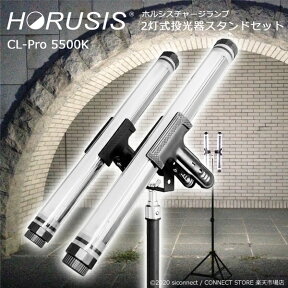 投光器 照明 作業灯【HORUSIS CHARGE LAMP CL-Pro 5500K（700LM Type）2灯式投光器スタンドセット】ホルシス チャージランプ 防水 IP68 充電式 コードレス LED照明 リモコン有 災害用 防災用 撮影用 ライト 作業灯用照明 ワークライト 夜間練習用照明 完全防水 雨天使用可能