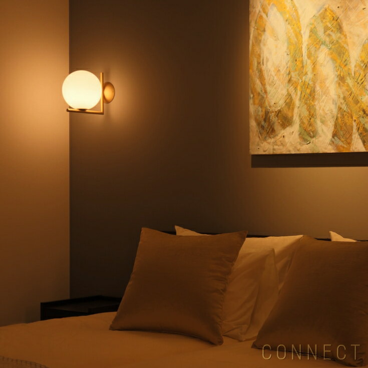 Ź̵ۡFLOSʥե  / IC LIGHTS C/W1ʥ饤C/W1/