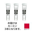 ターナー アクリルガッシュ 20ml 22カーミン 3個 美術 画材 美術 画材 書道
