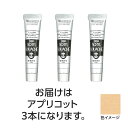 ターナー アクリルガッシュ 20ml 133アプリコット 3個 美術 画材 美術 画材 書道