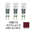 ターナー アクリルガッシュ ジャパネスクカラーシリーズ 20ml 323ぶどうしゅいろ 3個 美術 画材 美術 画材 書道