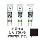 ターナー アクリルガッシュ ジャパネスクカラーシリーズ 20ml 338けんぽういろ 3個 美術 画材 美術 画材 書道