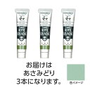 ターナー アクリルガッシュ ジャパネスクカラーシリーズ 20ml 340あさみどり 3個 美術 画材 美術 画材 書道