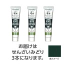 ターナー アクリルガッシュ ジャパネスクカラーシリーズ 20ml 346せんざいみどり 3個 美術 画材 美術 画材 書道
