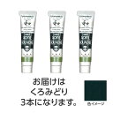 ターナー アクリルガッシュ ジャパネスクカラーシリーズ 20ml 348くろみどり 3個 美術 画材 美術 画材 書道
