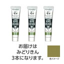 ターナー アクリルガッシュ ジャパネスクカラーシリーズ 20ml 372みどりきん 3個 美術 画材 美術 画材 書道