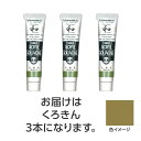 ターナー アクリルガッシュ ジャパネスクカラーシリーズ 20ml 373くろきん 3個 美術 画材 美術 画材 書道