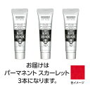 ターナー アクリルガッシュ 40ml 20パーマネントスカーレット 3個 美術 画材 美術 画材 書道