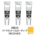 ターナー アクリルガッシュ 100ml 12パーマネントYディープ 3個 美術 画材 美術 画材 書道