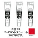 ターナー アクリルガッシュ 100ml 20パーマネントスカーレット 3個 美術 画材 美術 画材 書道