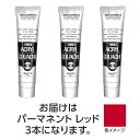 ターナー アクリルガッシュ 100ml 21パーマネントレッド 3個 美術 画材 美術 画材 書道