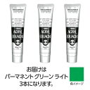 ターナー アクリルガッシュ 100ml 42パーマネントGRライト 3個 美術 画材 美術 画材 書道