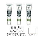 ターナー アクリルガッシュ ジャパネスクカラーシリーズ 20ml 300 しろごふん 3個 美術 画材 美術 画材 書道