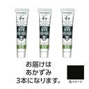 ターナー アクリルガッシュ ジャパネスクカラーシリーズ 20ml 307あかずみ 3個 美術 画材 美術 画材 書道