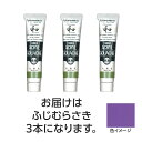 ターナー アクリルガッシュ ジャパネスクカラーシリーズ 20ml 361ふじむらさき 3個 美術 画材 美術 画材 書道