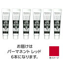ターナー アクリルガッシュ 11ml 21パーマネントレッド 6個 美術 画材 美術 画材 書道