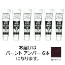 ターナー アクリルガッシュ 11ml 37バーントアンバー 6個 美術 画材 美術 画材 書道