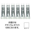 ターナー U35 チタニウムホワイト11ml 6個 美術 画材 美術 画材 書道