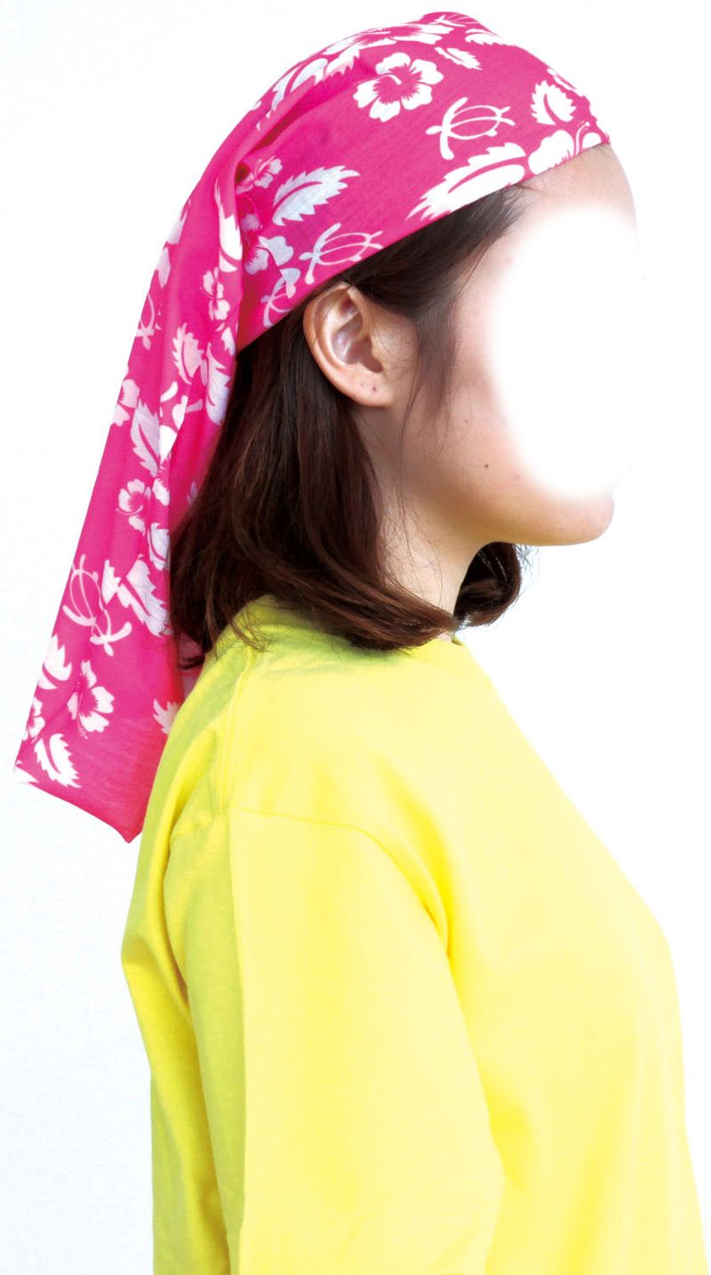 �ѥ��ץХ���� �ָ����꡼�� ���٥�ȥ��å� ��ư�� ��ư�� ȯɽ�� ���٥��