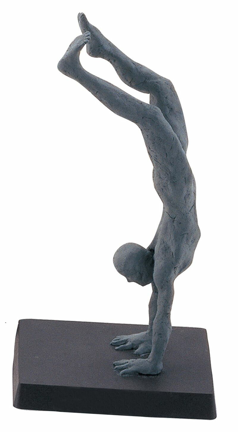 ����å�Ǵ�� 800g ���꡼�� �إ��� Ǵ�� �޹� ���� ����ե� �ۥӡ�