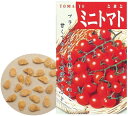 野菜の種 ミニトマト 理科教材 理科教材 備品